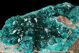 Gemmy Dioptase Crystal Cluster - N'tola Mine, Congo #148463-2
